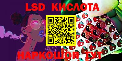 индика Можайск