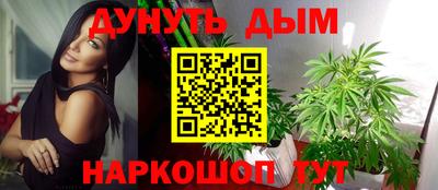 jwh Моздок