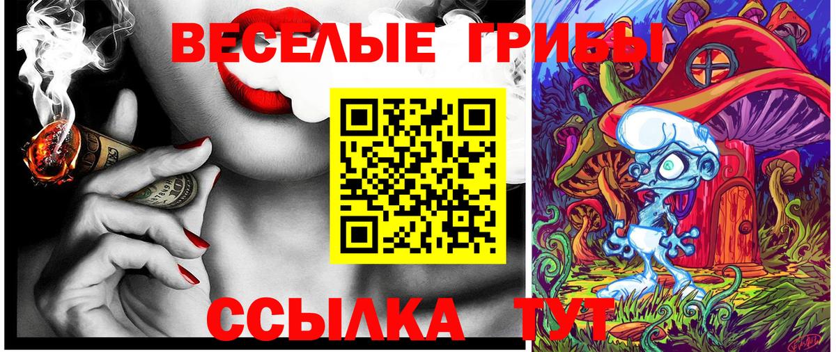 Галлюциногенные грибы Psilocybe  Вход с VPN  Севастополь 