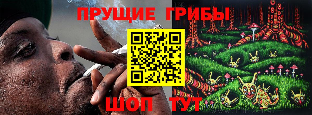 Псилоцибиновые грибы Cubensis Севастополь